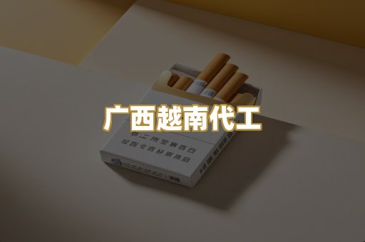 广西越南代工